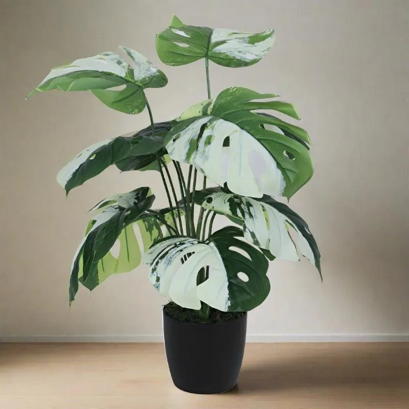 Faux White Monstera Silk Plant With Black Plastic Pot - 55 cms media 3