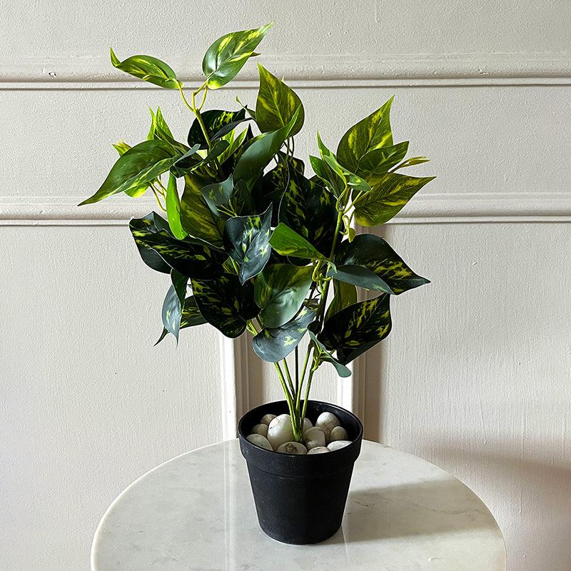Faux Everlasting Golden Pothos Plant With Black Plastic Pot - 48 cm media 3