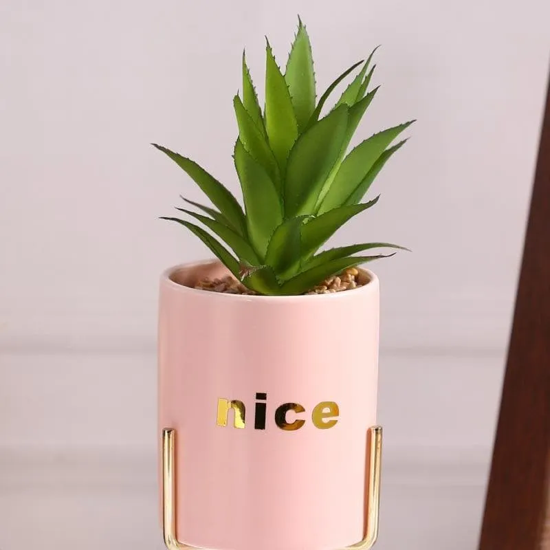 Faux Aloe Vera In Pink Pot With Tripod - 27 cms media 4