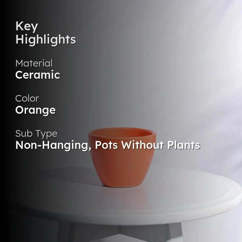 Ugaoo Apple Orange Ceramic Pot media 2