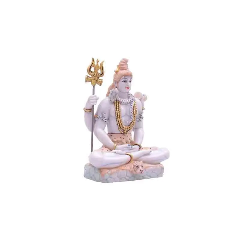 Shiv Shambhu Idol media 5