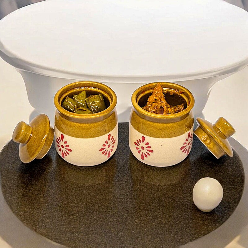 Ethnika Bharni Ceramic Jar (100 mL Each) - Set Of Two media 5