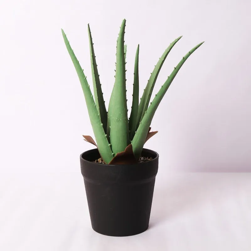 Healing Aloe Vera Artificial Plant With Black Plastic Pot media 4
