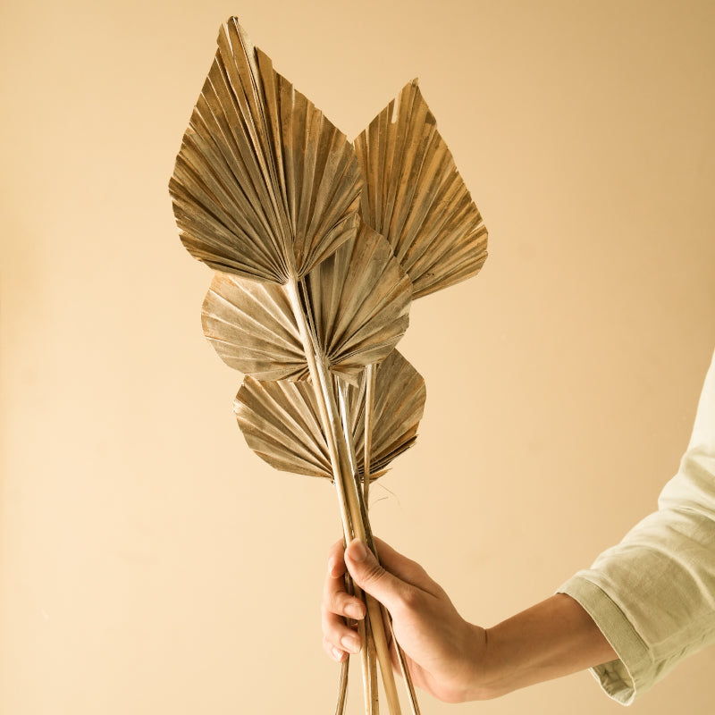 Dried Dual Tone Palm Leaf (Gold) - Set Of Five media 3