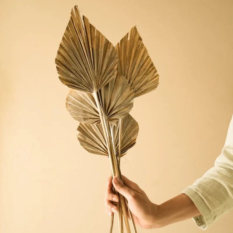 Dried Dual Tone Palm Leaf (Gold) - Set Of Five media 3