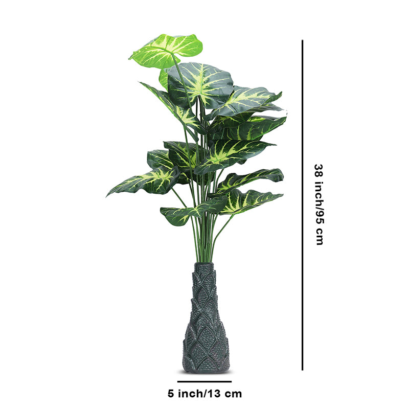 Infinita Artificial Money Plant II With Black Plastic Pot - 3 Feet media 5