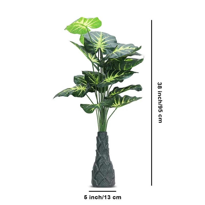 Infinita Artificial Money Plant II With Black Plastic Pot - 3 Feet media 5