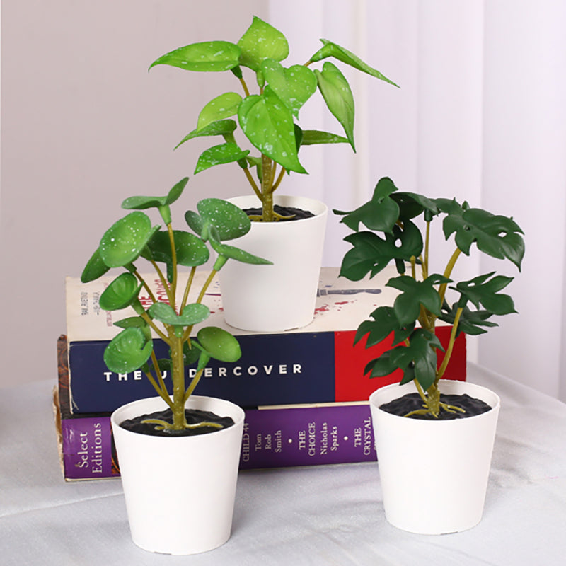 Verdanta II Artificial Tabletop Plant - Set Of Three