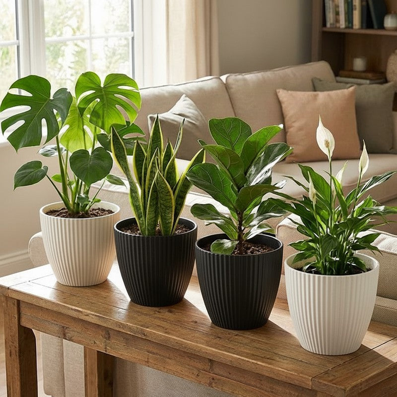 Arelis Textured Ceramic Planter - Set Of Four media 3