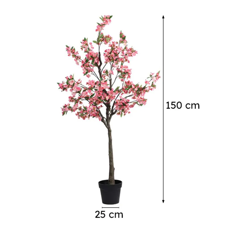 Cherry Blossom Plant With Black Plastic Pot - 5 ft media 10