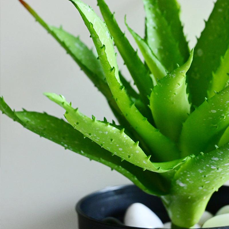 Alvera  Artificial Aloe Vera Plant With Black Plastic Pot - Green media 3