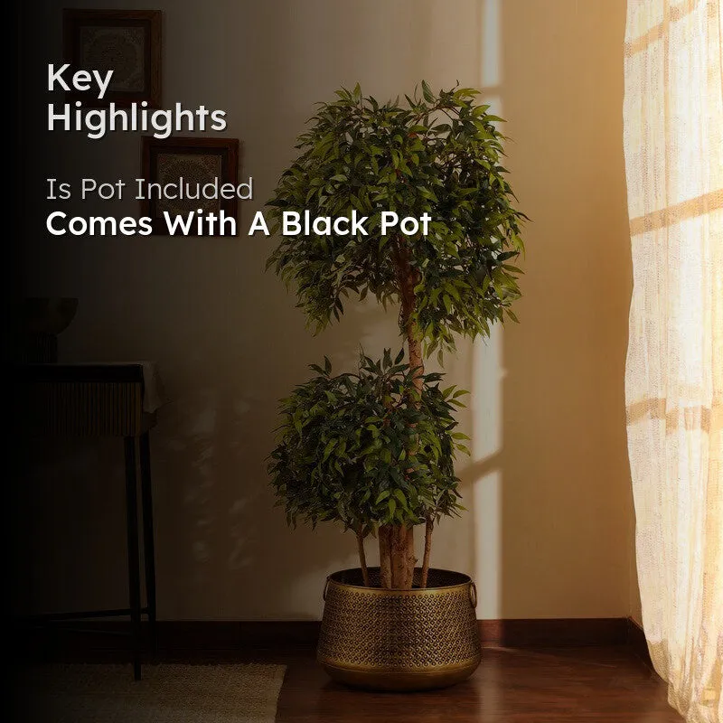 Artificial Ficus Bonsai Plant With Black Plastic Pot - 5.2 ft media 2