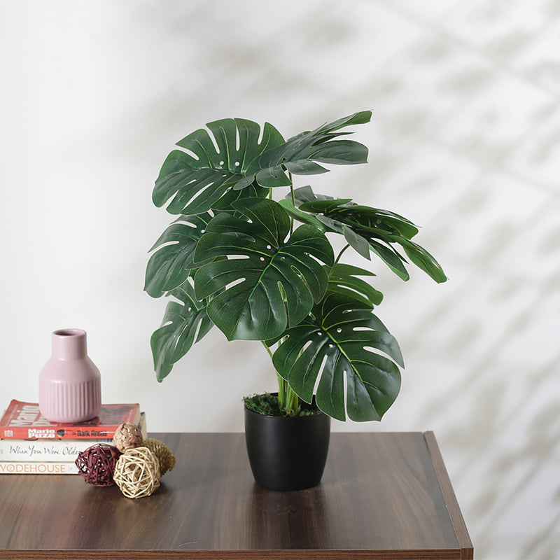 Faux Multicolor Monstera Silk Plant With Black Plastic Pot - 55 cms media 3