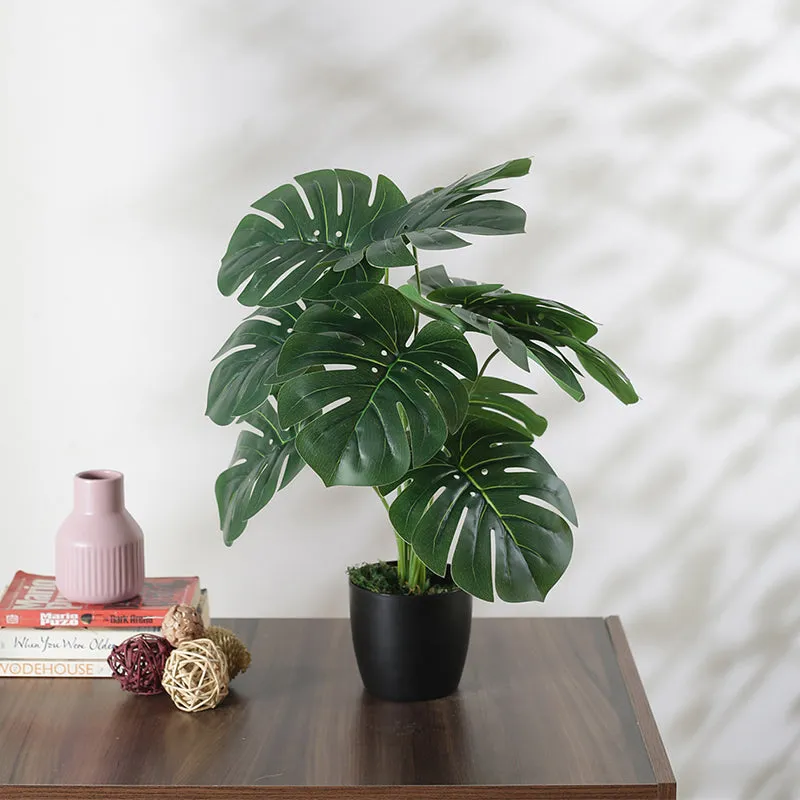 Faux Multicolor Monstera Silk Plant With Black Plastic Pot - 55 cms media 3