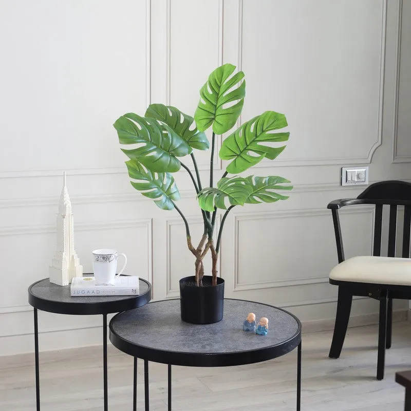 FreshForm Artificial Plant With Black Plastic Pot - 2.6 ft media 4