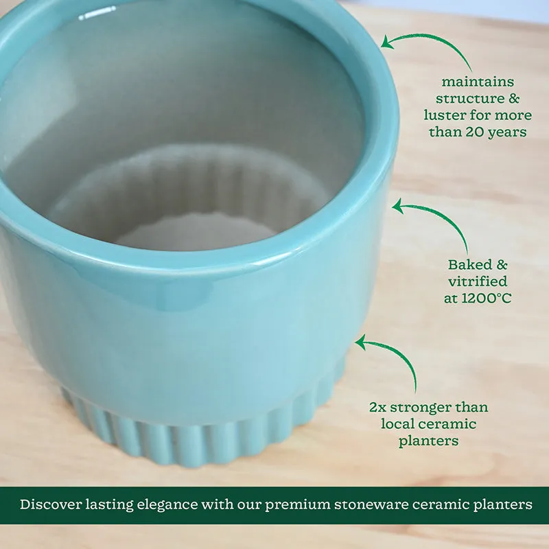 Ugaoo Sleepy Sprout Round Ceramic Planter - Blue media 5