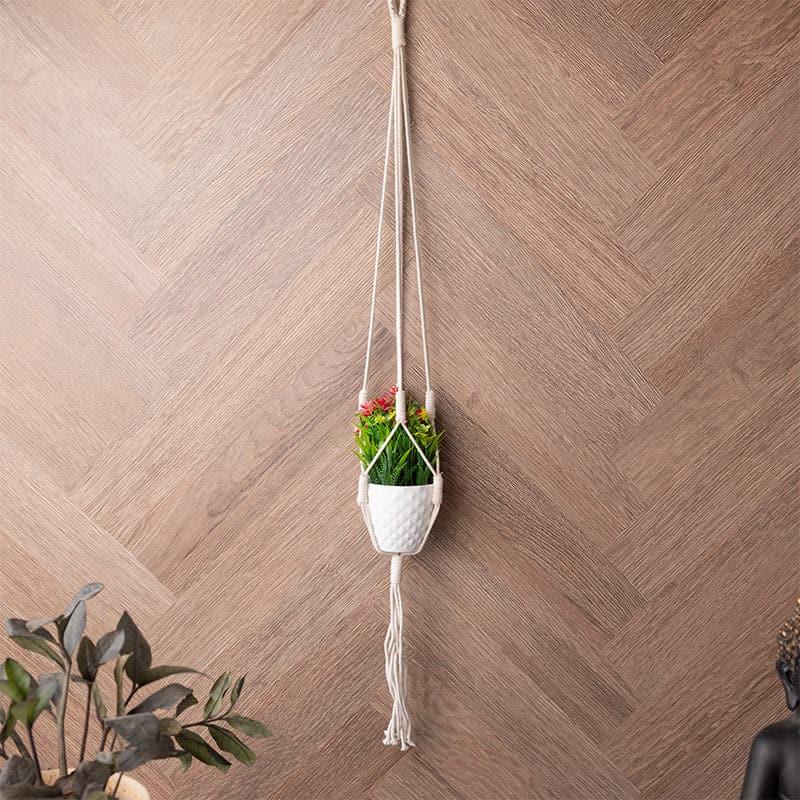 Cotton