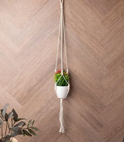 Cotton