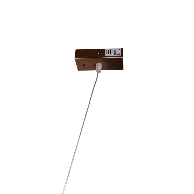 Lysandra Iron Ceiling Lamp media 7