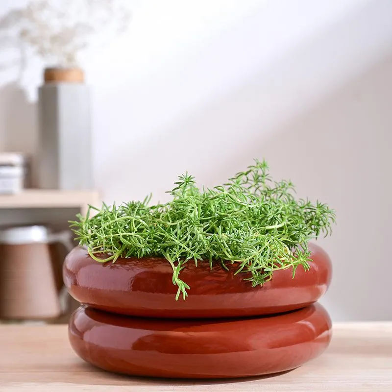 Ugaoo Ceramicurve Two Layer Ceramic Planter - Terracotta media 2