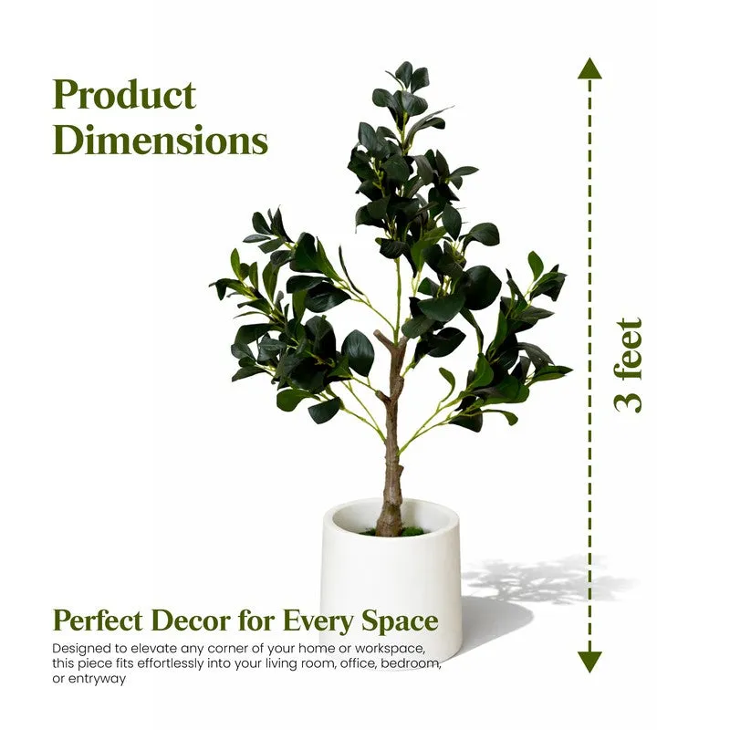 EverGreen Ficus Artificial Plant With Black Plastic Pot - 91 cm (3 ft) media 12