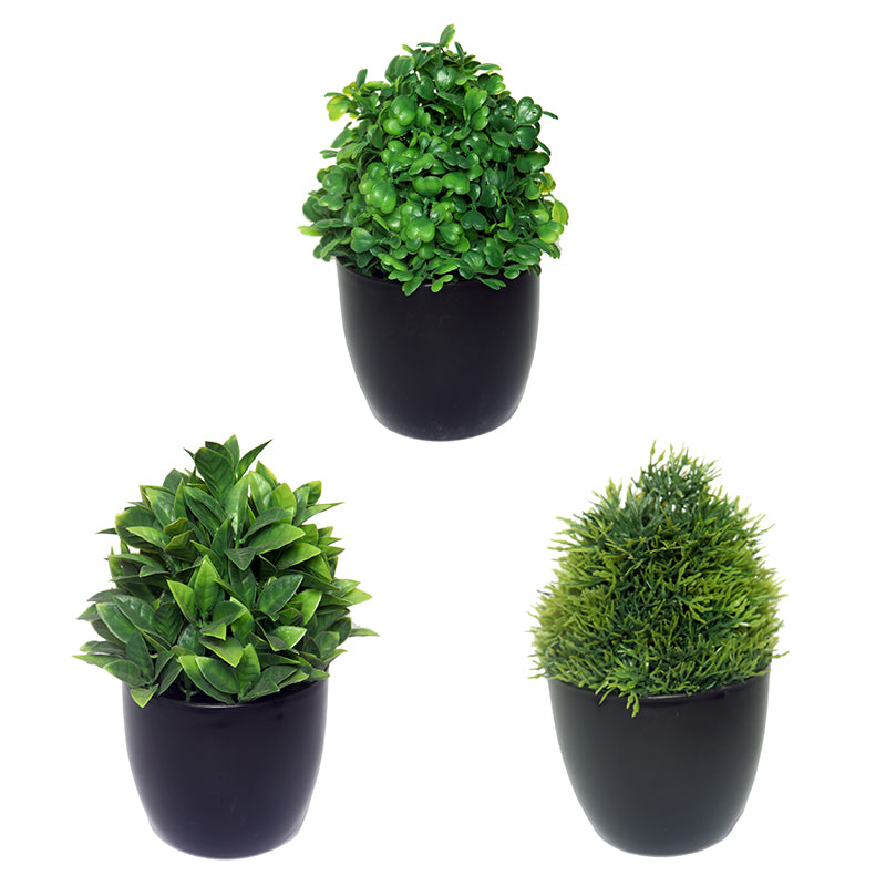 Faux Sherry Plant With Black Plastic Pot - Set Of Three media 4