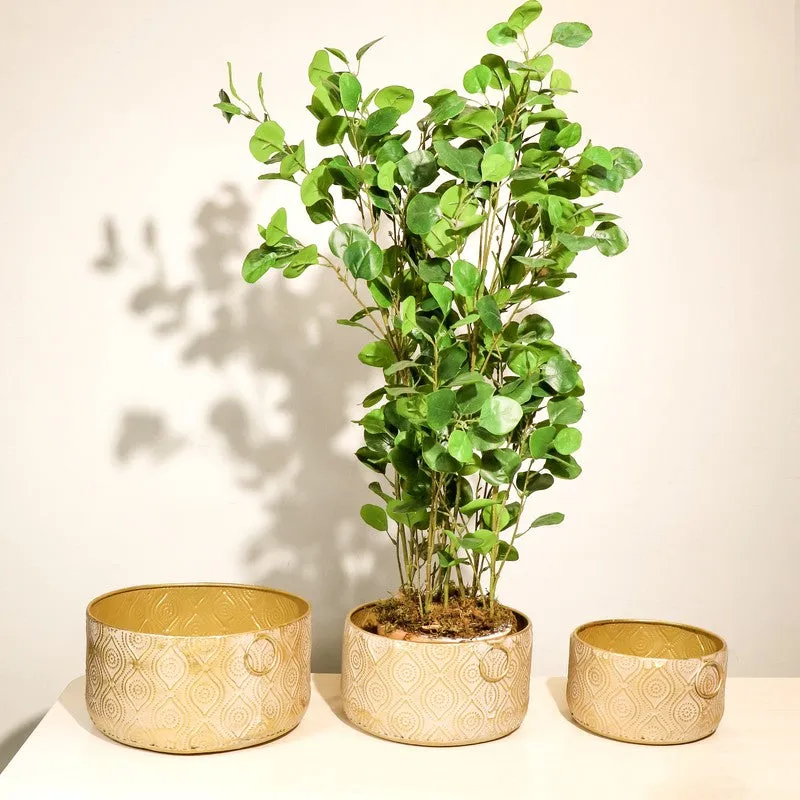 Noctis Metal Planters - Set Of Three media 3