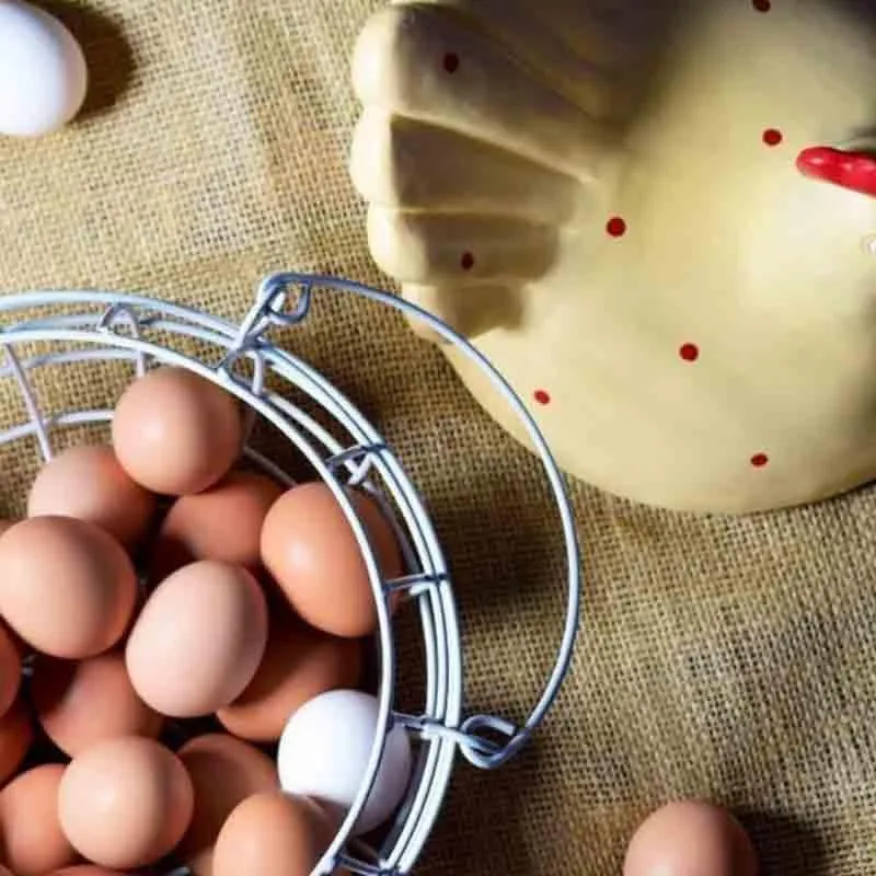 Cluck Cluck Egg (Polyresin, Metal) Storage Basket media 3