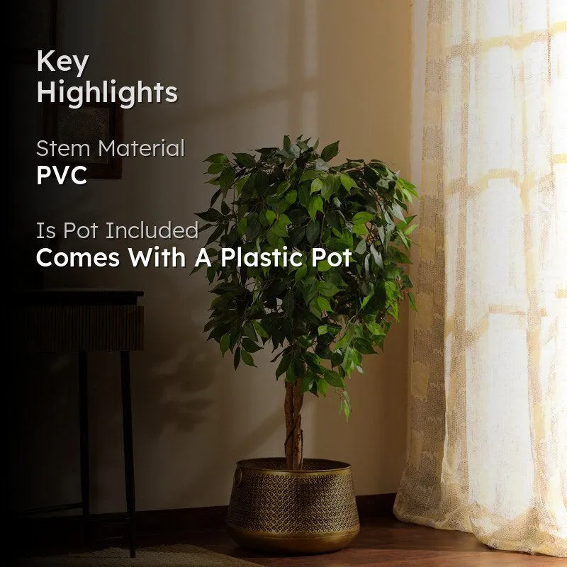 Artificial Realistic Ficus Plant With Black Plastic Pot - 4.9 Feet media 2