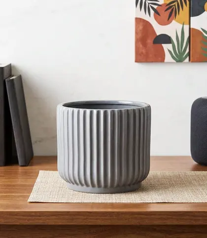 Ceramic