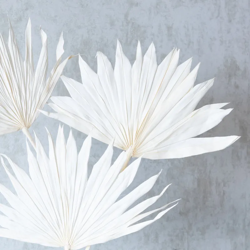 Ineeya Naturally Dried Sun Palm Stick (White) - Set Of Three media 5