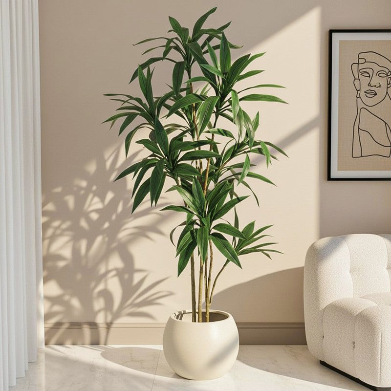 Lifestra Artificial Dracaena Green Tree With Black Plastic Pot 5.6 ft