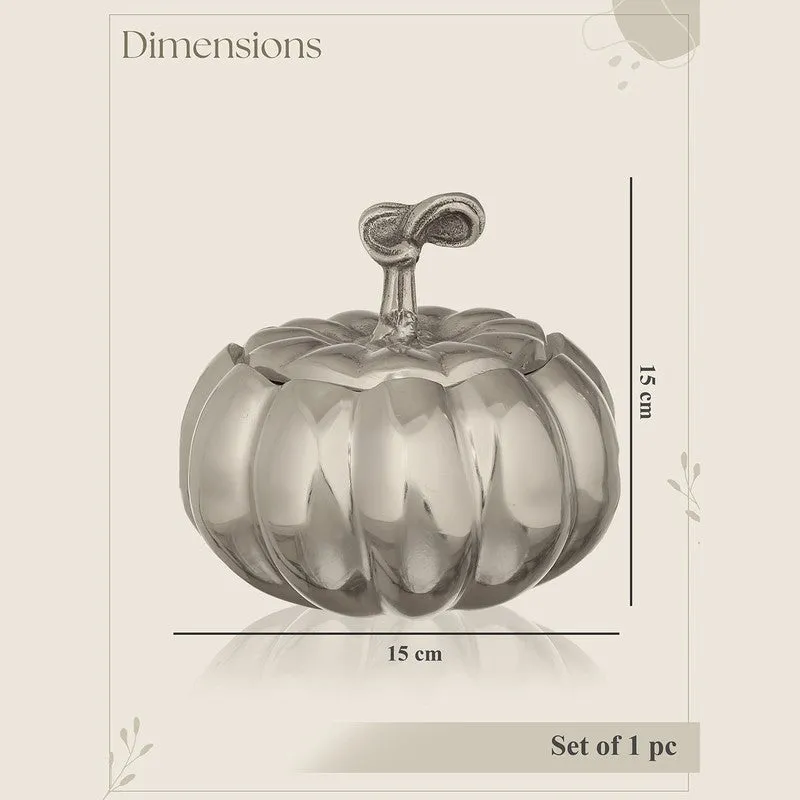 Gourd Glow Ice Box media 6
