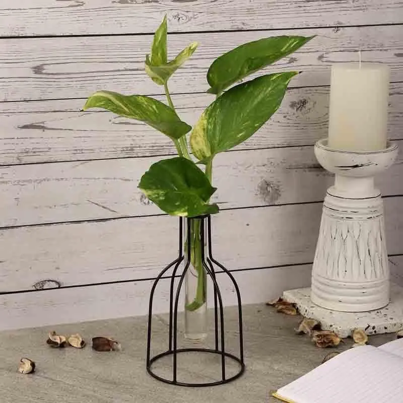 Tracey Testube Outline Planter media 1