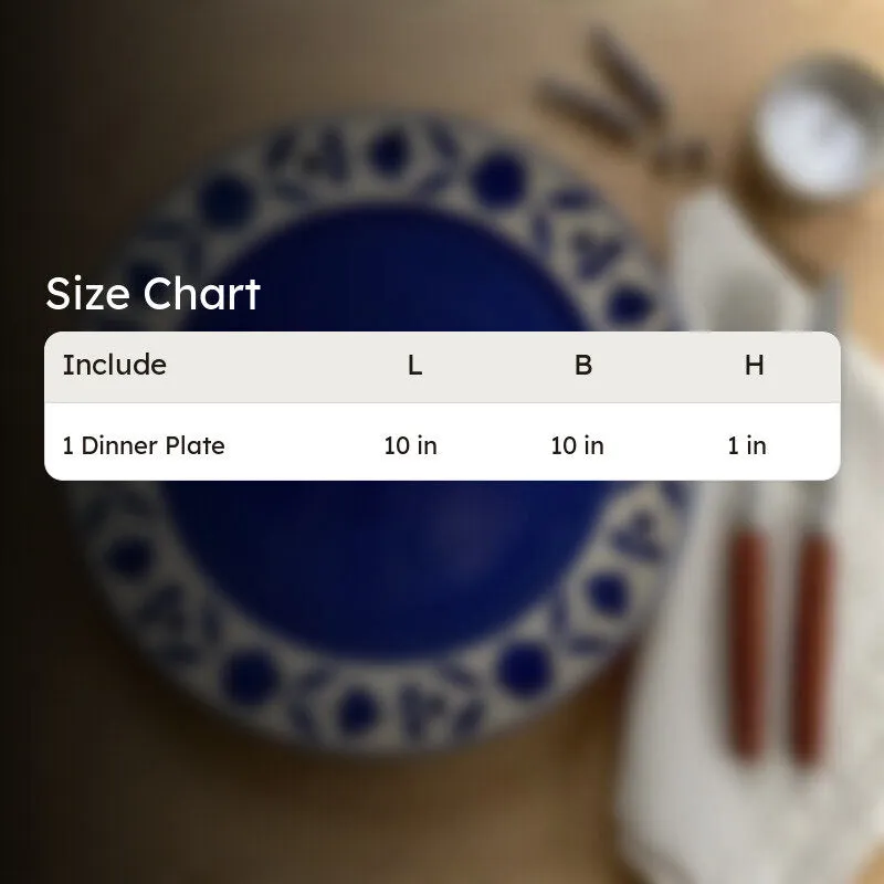 DishPro Ceramic Dinner Plate media 7