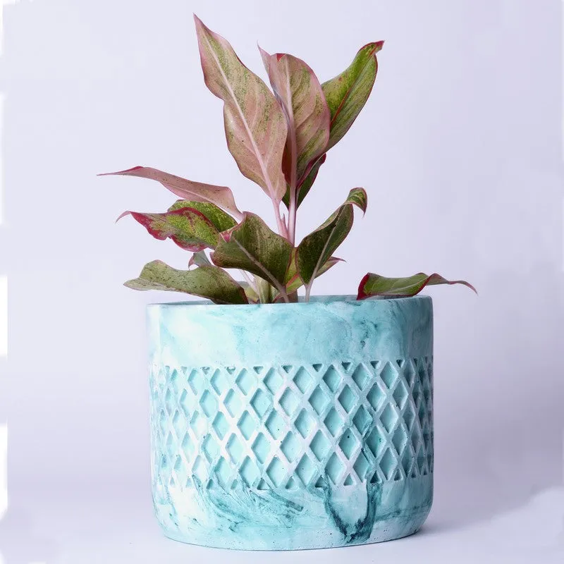 Diemona Planter - Green media 4