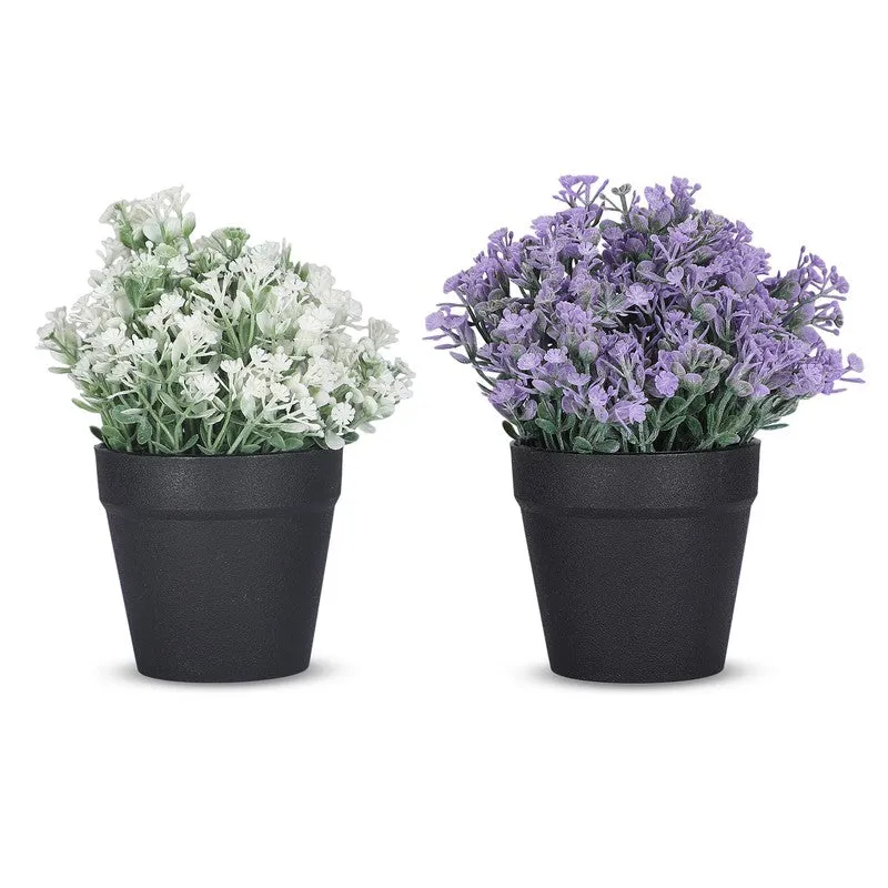 Artificial Flowers With Black Plastic Pot - Set Of Two media 4