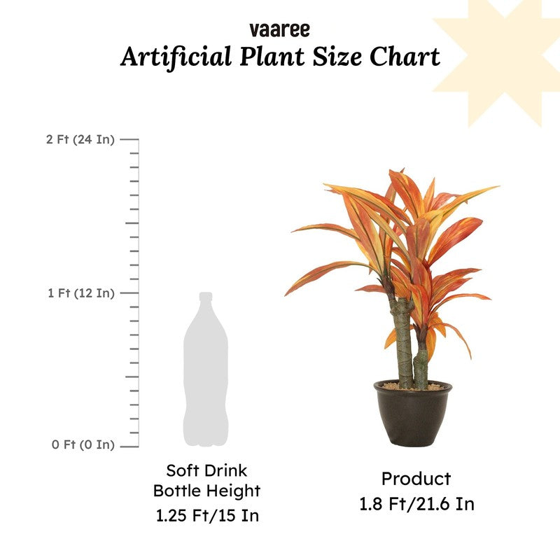 Artificial Orange Dracaena Bonsai Plant With White Ceramic Pot - 1.8 Feet media 7