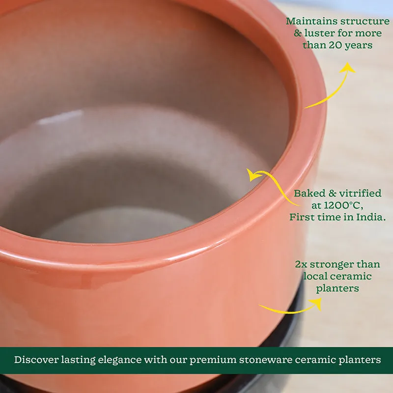 Ugaoo Pot-fection Ceramic Planter - Coral media 8