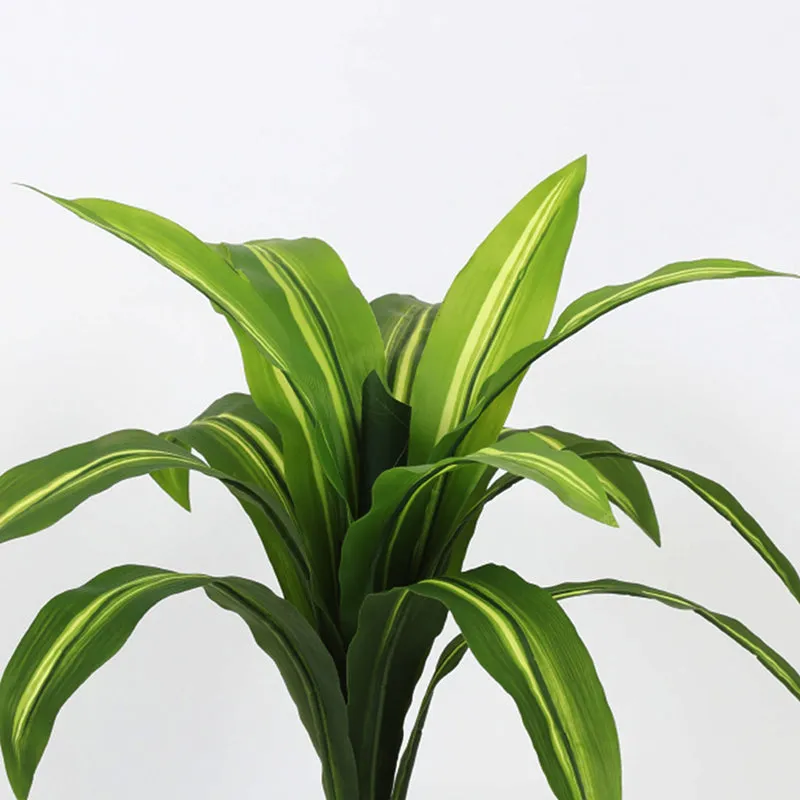 Edoras Artificial Dracaena Plant With Black Plastic Pot - 2.5 Feet media 4
