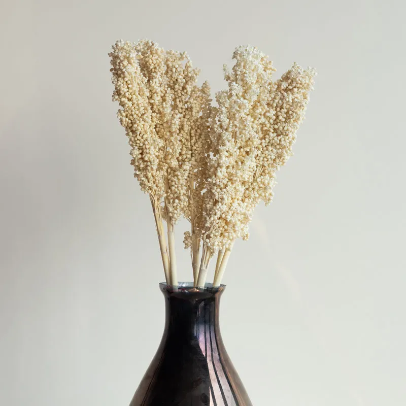 Eshbas Corn Stem (White) - Set Of Five media 5