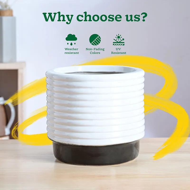 Ugaoo Fern Friend Ceramic Planter - Black media 6