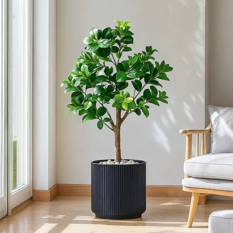 Kyari Manhattan Bloom Fiberglass Planter media 4