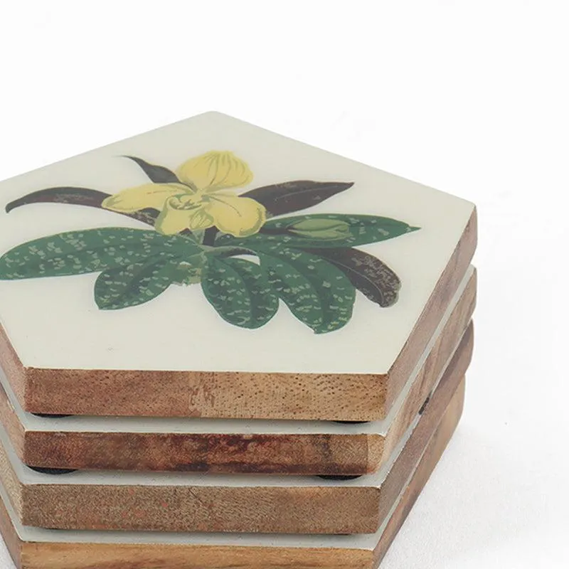 Valina Acacia Wood Coasters - Set Of Four media 3