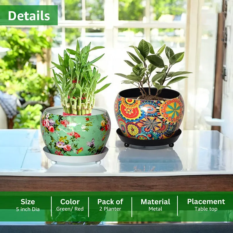 Rustic Fusion Planter With Plate - Set Of Two media 4