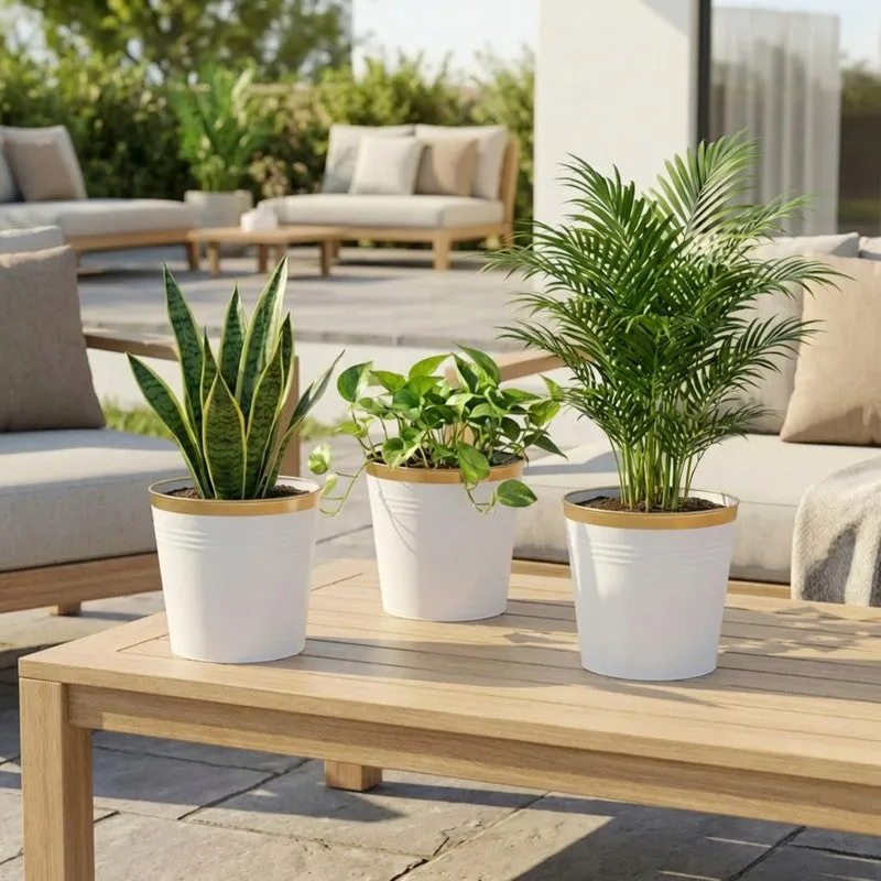 Leafora Iron Planter (White) - Set Of Three media 4