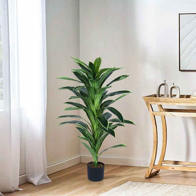 Edena Artificial Dracaena Plant With Black Plastic Pot - 4 Feet media 3