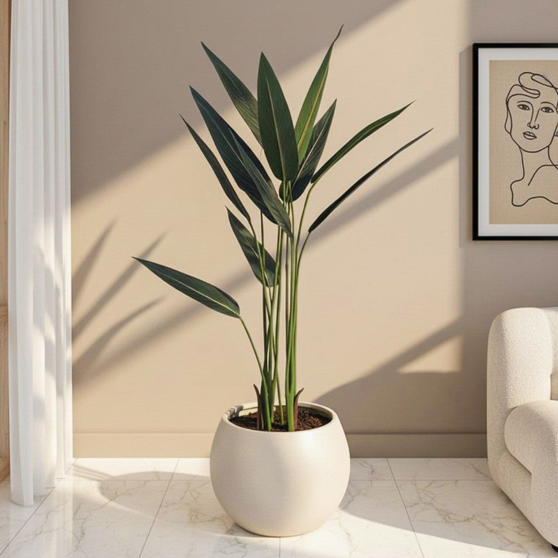 Chloro-faux Artificial Plant With Black Plastic Pot - 3.6 Feet