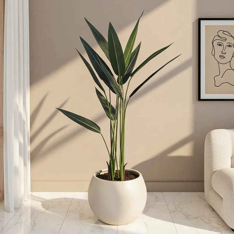 Chloro-faux Artificial Plant With Black Plastic Pot - 3.6 Feet media 1