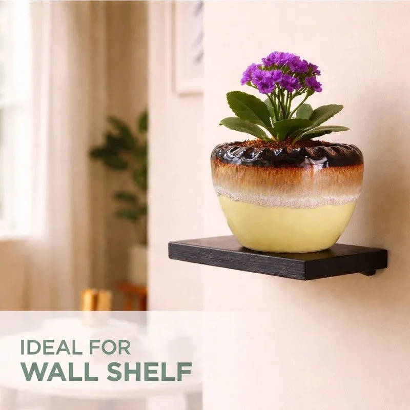 A flowering plant in a round ceramic planter displayed on a wall shelf
